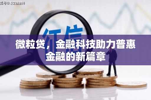 长岛微粒贷，金融科技助力普惠金融的新篇章