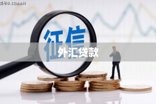 长岛外汇贷款
