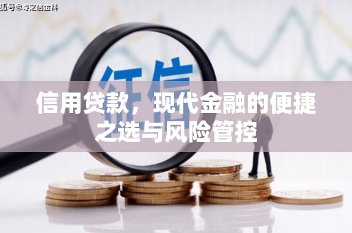 长岛信用贷款，现代金融的便捷之选与风险管控