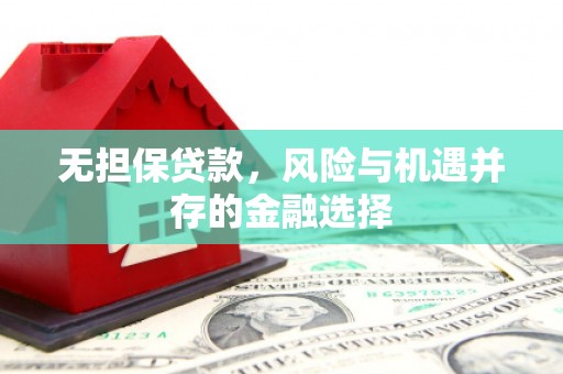 长岛无担保贷款，风险与机遇并存的金融选择