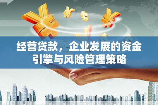 长岛经营贷款，企业发展的资金引擎与风险管理策略