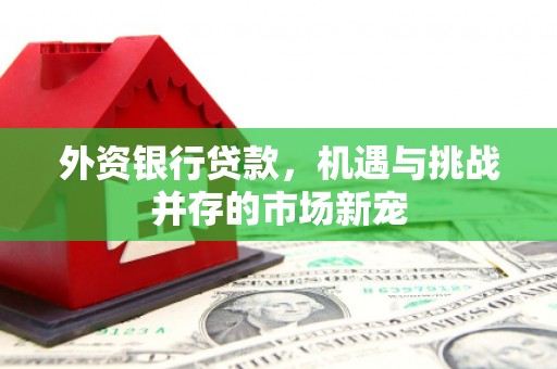 长岛外资银行贷款，机遇与挑战并存的市场新宠