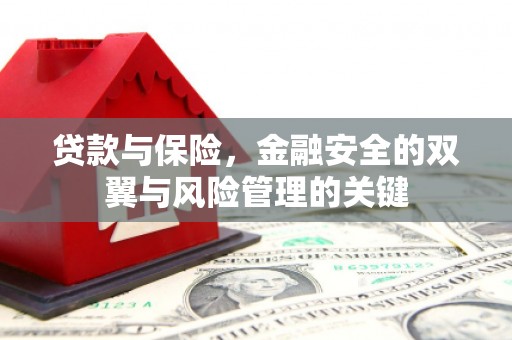 长岛贷款与保险，金融安全的双翼与风险管理的关键