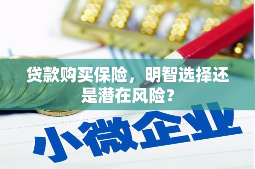 长岛贷款购买保险，明智选择还是潜在风险？