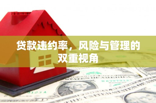 长岛贷款违约率，风险与管理的双重视角