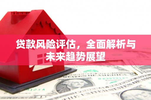 长岛贷款风险评估，全面解析与未来趋势展望