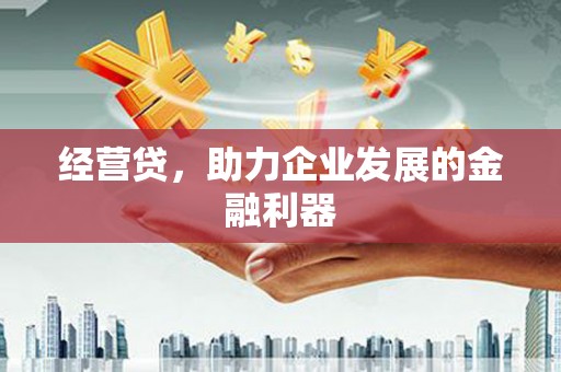 长岛经营贷，助力企业发展的金融利器
