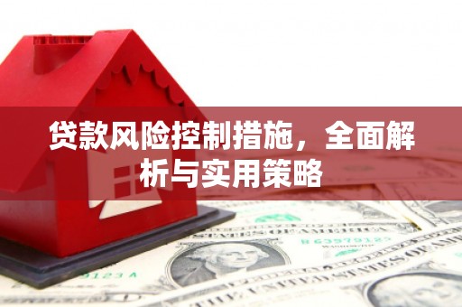长岛贷款风险控制措施，全面解析与实用策略