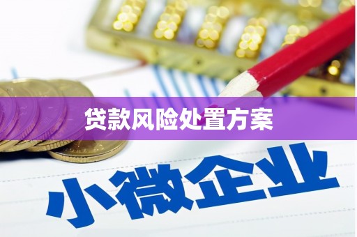 长岛贷款风险处置方案