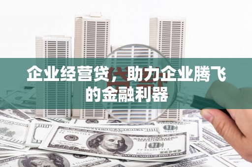长岛企业经营贷，助力企业腾飞的金融利器