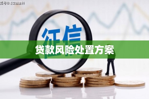 长岛贷款风险处置方案