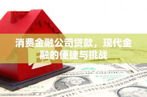 长岛消费金融公司贷款，现代金融的便捷与挑战