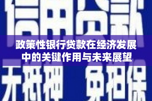 长岛政策性银行贷款在经济发展中的关键作用与未来展望