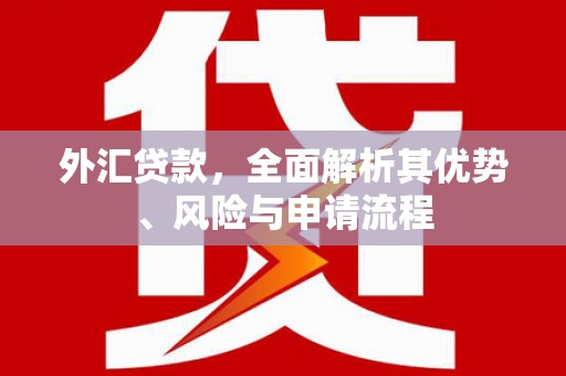 长岛外汇贷款，全面解析其优势、风险与申请流程