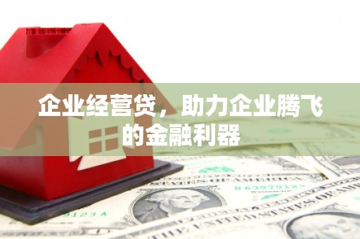 长岛企业经营贷，助力企业腾飞的金融利器