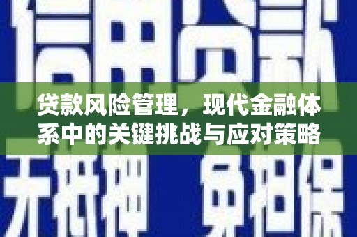 长岛贷款风险管理，现代金融体系中的关键挑战与应对策略