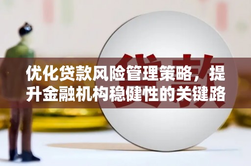 长岛优化贷款风险管理策略，提升金融机构稳健性的关键路径