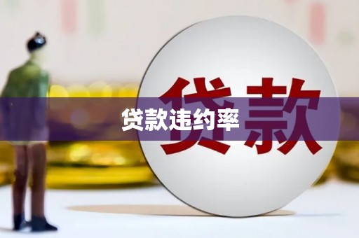 长岛贷款违约率