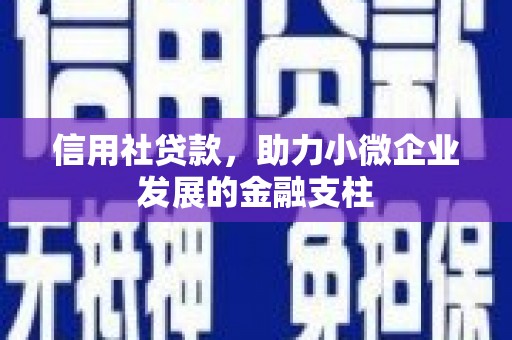 长岛信用社贷款，助力小微企业发展的金融支柱