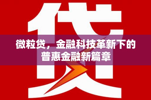 长岛微粒贷，金融科技革新下的普惠金融新篇章