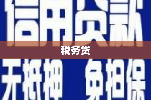 长岛税务贷