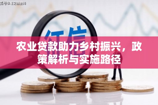长岛农业贷款助力乡村振兴，政策解析与实施路径