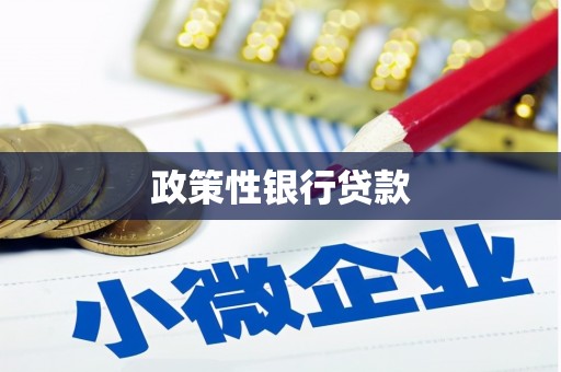 长岛政策性银行贷款