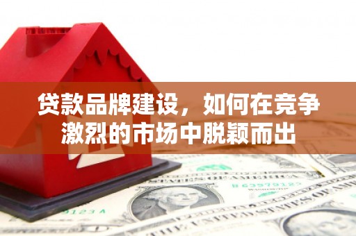 长岛贷款品牌建设，如何在竞争激烈的市场中脱颖而出