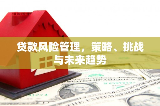 长岛贷款风险管理，策略、挑战与未来趋势