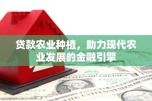 长岛贷款农业种植，助力现代农业发展的金融引擎
