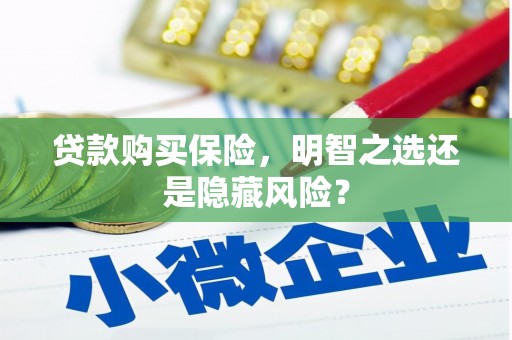 长岛贷款购买保险，明智之选还是隐藏风险？