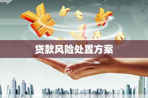 长岛贷款风险处置方案