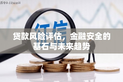 长岛贷款风险评估，金融安全的基石与未来趋势