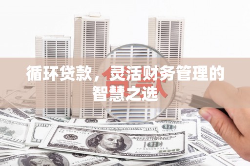 长岛循环贷款，灵活财务管理的智慧之选