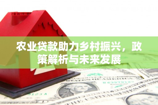 长岛农业贷款助力乡村振兴，政策解析与未来发展