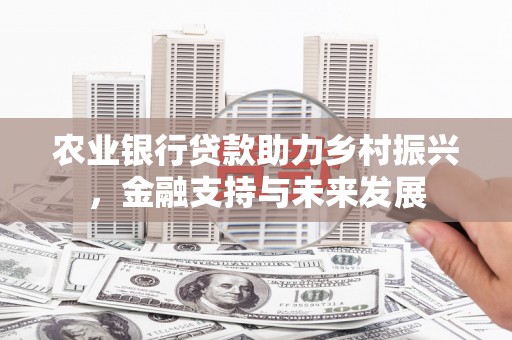 长岛农业银行贷款助力乡村振兴，金融支持与未来发展