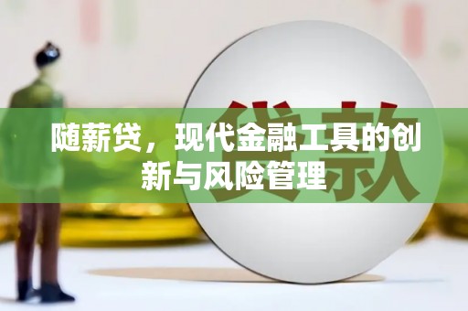 长岛随薪贷，现代金融工具的创新与风险管理