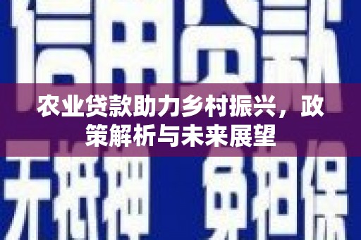 长岛农业贷款助力乡村振兴，政策解析与未来展望