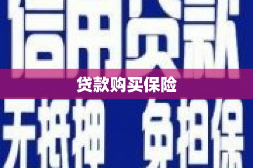 长岛贷款购买保险