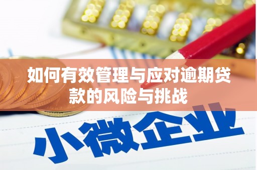 长岛如何有效管理与应对逾期贷款的风险与挑战