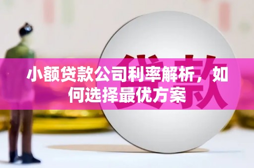 长岛小额贷款公司利率解析，如何选择最优方案