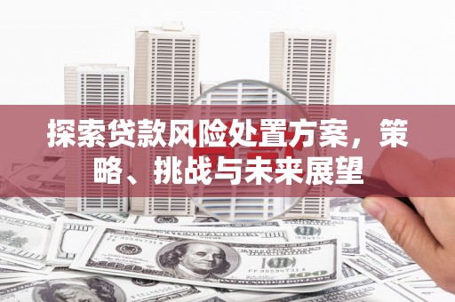 长岛探索贷款风险处置方案，策略、挑战与未来展望