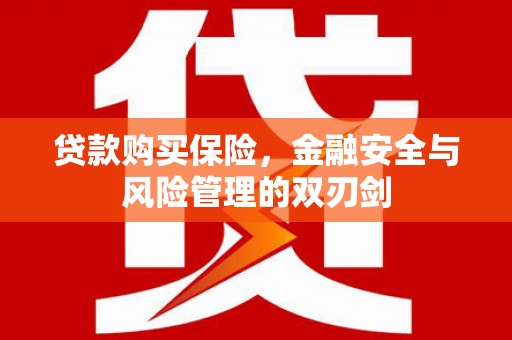 长岛贷款购买保险，金融安全与风险管理的双刃剑