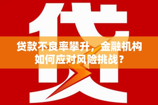 长岛贷款不良率攀升，金融机构如何应对风险挑战？