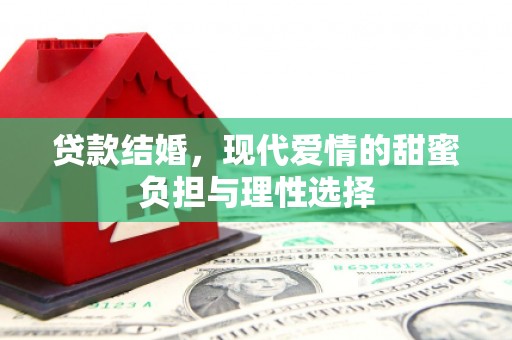 长岛贷款结婚，现代爱情的甜蜜负担与理性选择