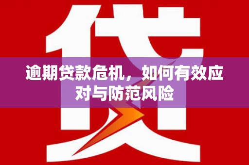 长岛逾期贷款危机，如何有效应对与防范风险