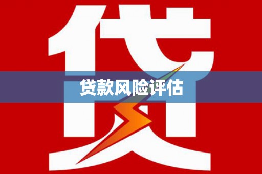 长岛贷款风险评估