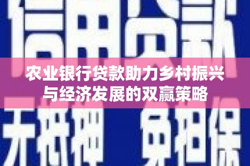 长岛农业银行贷款助力乡村振兴与经济发展的双赢策略
