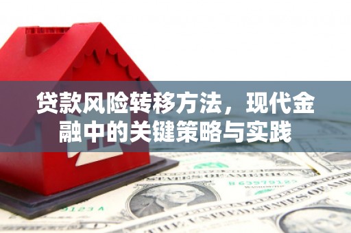 长岛贷款风险转移方法，现代金融中的关键策略与实践
