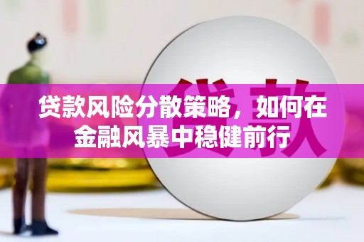 长岛贷款风险分散策略，如何在金融风暴中稳健前行